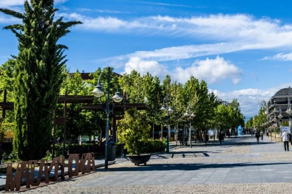 Pintores en Majadahonda